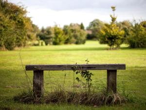 a wooden bench sitting in the grass in a field at Hookwood Lodge in Horley
