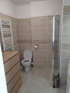 La petite salle de bains est pourvue d'une douche et de toilettes. dans l'établissement COTE VILLAGE, à Nice