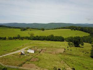 una vista aérea de un campo con vacas. en Hunter Ridge Estate en Mint Spring