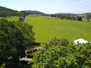 un campo de césped verde con una carretera y árboles en Hunter Ridge Estate en Mint Spring