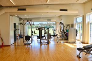 Fitnesscentret og/eller fitnessfaciliteterne på Plexus Hytterne