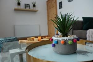 une table avec une plante en pot en haut dans l'établissement Ideal Lodgings in Bury - Whitefield, à Bury