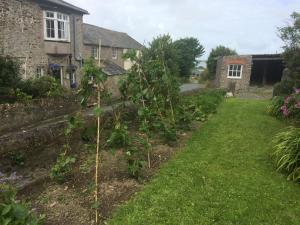 a garden in front of a house at Instow Barton in Instow