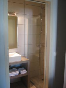 a bathroom with a shower and a sink and a mirror at Les Jardins De La Livrée in Villeneuve-lès-Avignon
