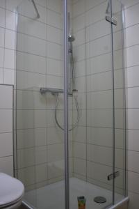 a bathroom with a glass shower with a toilet at Ferienwohnung Boddenkieker bis 4 Personen, Sagard-Neddesitz, 70m2 in Sagard