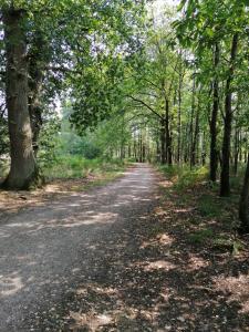 eine unbefestigte Straße mit Bäumen auf beiden Seiten in der Unterkunft Hotel Haus Hildegard - Garni 3 Sterne superior in Niederkrüchten