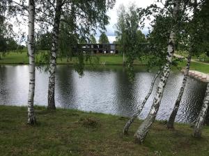 a body of water with trees in front of it at Apartmán Plovárna in Kamenice nad Lipou