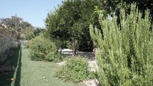 A garden outside Studio Panagiota - Oasis holiday houses