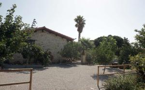a house with a palm tree in front of it at Studio Panagiota - Oasis holiday houses in Kókkinos Pírgos