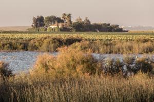 Fotografia z galérie ubytovania Cortijo Las Manoteras v destinácii El Puerto de Santa María