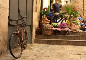 a bike parked outside of a store with flowers at Europe tents camping Begur in Begur