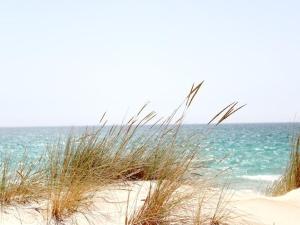 ニーンドルフにあるKleines Strandhotelの草海を背景にした海岸