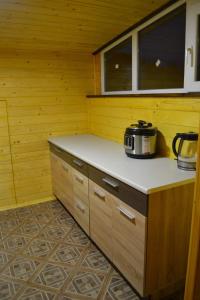 Iltsi的住宿－ЮрДар，厨房配有炉灶和柜台上的锅子