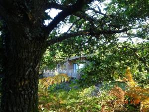 uma casa é vista através das folhas de uma árvore em La Carri'air em Pont-Aven