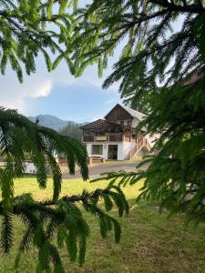 ein Haus, das durch die Äste eines Baumes gesehen wird in der Unterkunft Pensiunea Turistică Tihuța in Piatra Fântânele