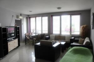 a living room with a couch and a tv and a table at Apartment Natasa in Vršac