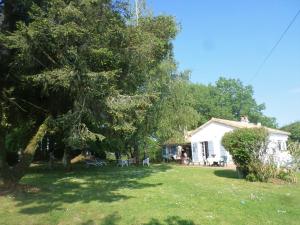 a yard with a house and a large tree at La Folie in Breuil-Barret
