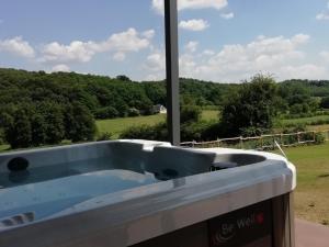 a bath tub with a view of a field at LA HAUTE FORGE - B&B in Thoiré-sur-Dinan +27 photos
