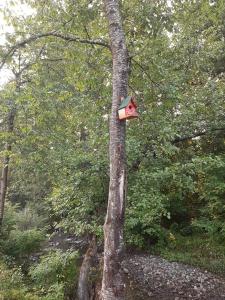 Paesaggio naturale nelle vicinanze dell'appartamento