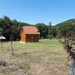 Paesaggio naturale nelle vicinanze dell'appartamento