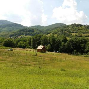 Paesaggio naturale nelle vicinanze dell'appartamento