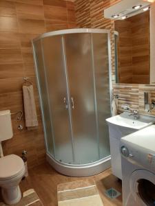 una doccia in un bagno con wc e lavandino di Apartman Šumska Tajna a Mokra Gora