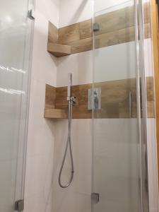 a bathroom with a shower with a glass door at Małgosia - 10 minut na piechotę do stoku narciarskiego i basenów termalnych Bania - atrakcyjny pakiet wielkanocny in Białka Tatrzańska