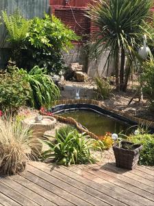 a small pond in a garden with a wooden deck at Gwynarth B&B in Wadebridge