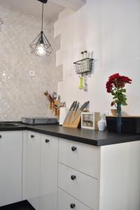 Afbeelding uit fotogalerij van Apartman L&M in Cetinje +86 foto's