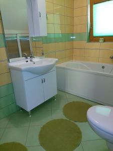 a bathroom with a sink and a tub and a toilet at Brunarica in Globoko