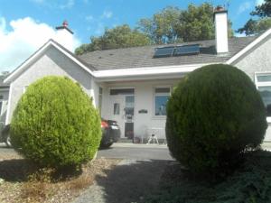 a house with two large bushes in front of it at Launard House in Kilkenny