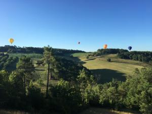 twee heteluchtballonnen die over een veld met bomen vliegen bij Les Hauts du Coustalier in Doissat