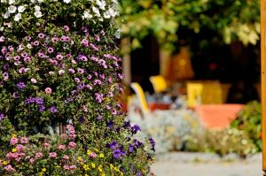 Κήπος έξω από το Hotel Beausite