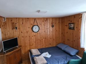 TV i/ili multimedijalni sistem u objektu Apartman Tripković