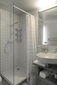 a bathroom with a shower and a sink at Le Presbytère in Hermalle-sous-Huy