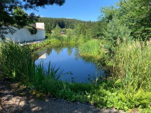 Príroda v okolí apartmánu