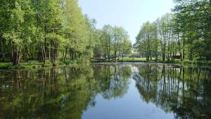 a river with trees reflecting in the water at X Adventure in Horsford