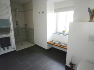 a bathroom with a walk in shower and a window at La Forcerie maison d'hôtes et spa in Châtelais