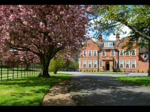 a tree in front of a large brick building at Lime House in Newark-on-Trent