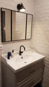 a bathroom with a sink and a mirror at The Little Studio in Strasbourg