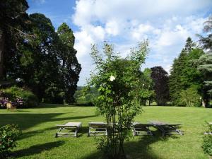 two picnic tables and a tree in a park at Château de Crocq - Chambres d'Hôtes de Charme in Crocq