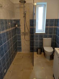 a bathroom with a shower and a toilet at Viesu nams Purenes in Vecmuiža