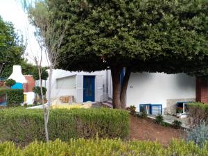 Galeriebild der Unterkunft Punta Skala Nena apartman in Petrcane