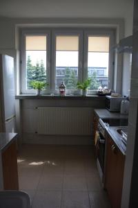 a kitchen with three windows with potted plants on the counter at Hotelik Luna in Jarosław