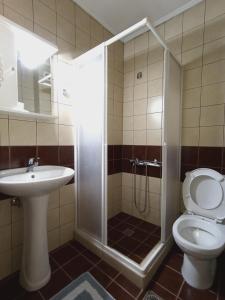 La salle de bains est pourvue d'une douche, de toilettes et d'un lavabo. dans l'établissement Queen of Orliaka, à Grevená