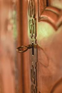 einem Schließen einer Tür mit einem Verschluss in der Unterkunft Maison de Blanche in Chaudenay-le-Château