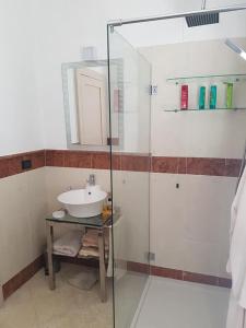W łazience znajduje się umywalka i przeszklony prysznic. w obiekcie APPARTAMENTO LAKE GARDA ibiscus di Francia w mieście Desenzano del Garda