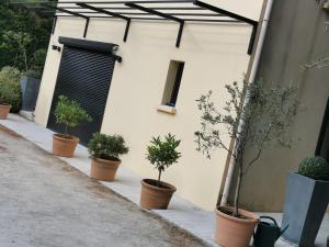 a row of potted plants sitting next to a building at Gîte 2 chambres avec piscine in Sernhac