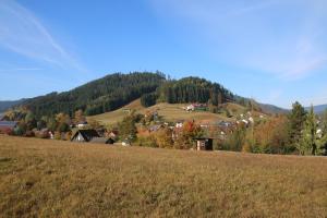 pole trawy z wioską na wzgórzu w obiekcie Luxus-Landhaus im Schwarzwald/Baiersbronn mit Pool w mieście Baiersbronn