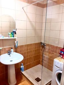 La salle de bains est pourvue d'une douche, d'un lavabo et d'un lave-linge. dans l'établissement Dream apartment Herceg Novi, à Herceg-Novi